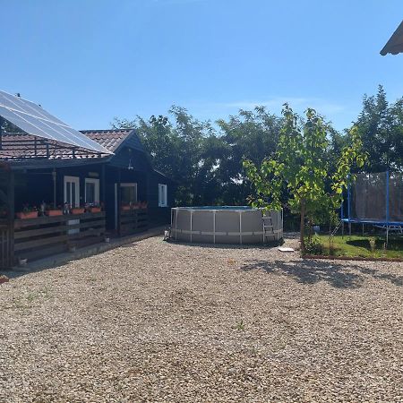 Cabana Oprisor Окна Сибиулуй Екстериор снимка